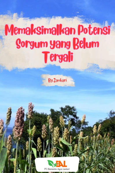 Sampul buku Memaksimalkan Potens...